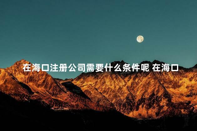 在海口注册公司需要什么条件呢 在海口注册公司有什么政策